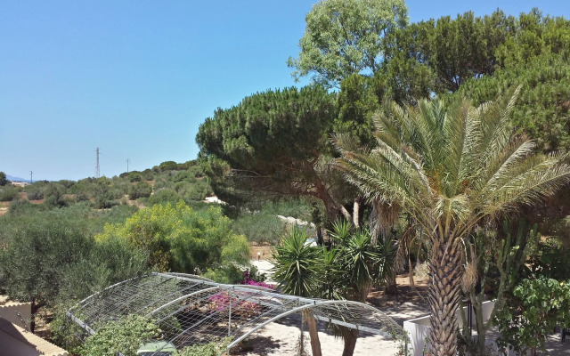 Baglio il Giovinetto