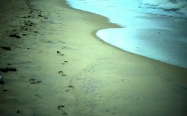 Apartamento - Ed Jatiuca