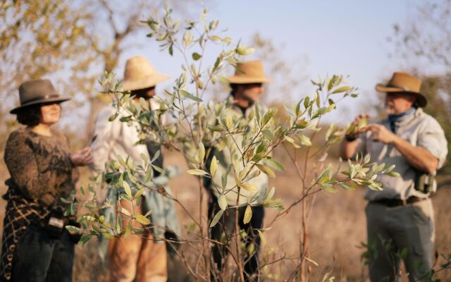 Simbavati Trails Camp
