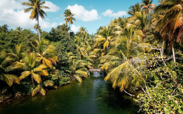 Four Seasons Resort and Residences Puerto Rico