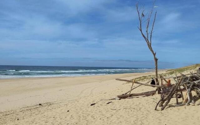 Very Nice Wood Frame House With Garden