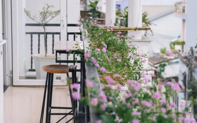 Thao Phuong Hotel