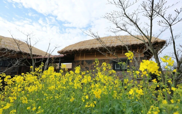 Seogwipo Chogain inn Guest House