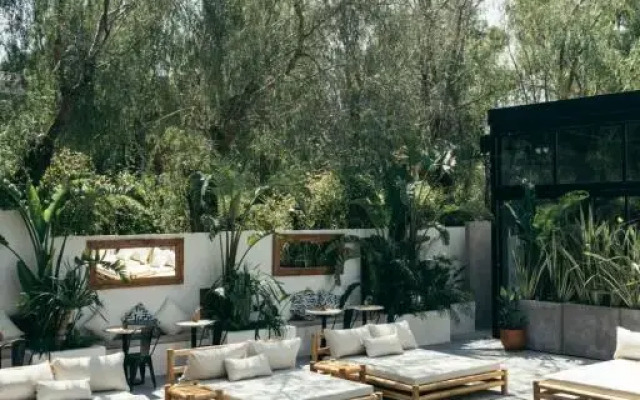 Primus Nefes Adults Only