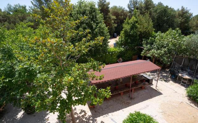 Studio Centener Rustico Blue