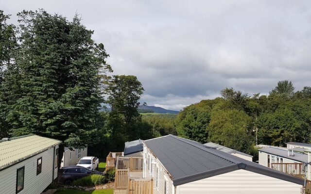 Screel View
