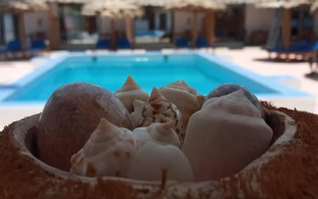Amani Paje B&B