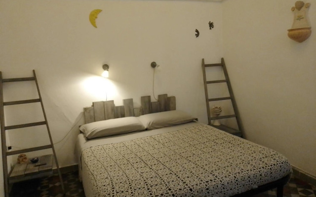 La casa della pecora nera