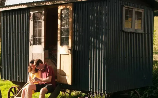 Shed and Breakfast