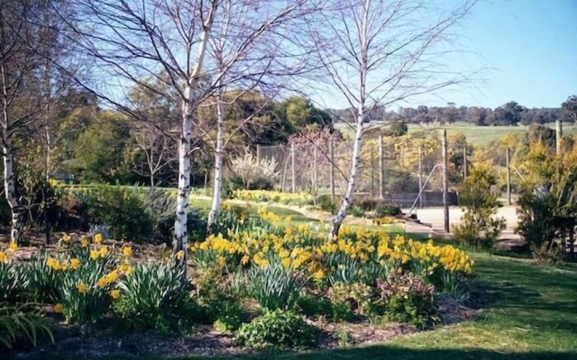 Wombat Hills Cottages