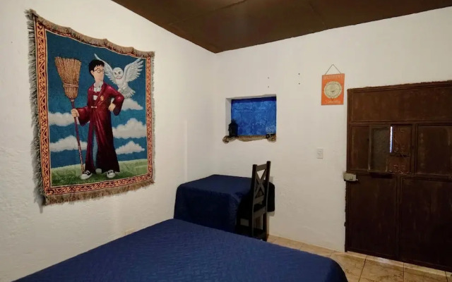 Wonderland Hostel