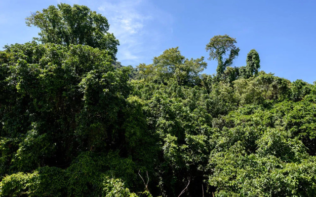 All in Rio Silencioso e Aconchegante Apartamento