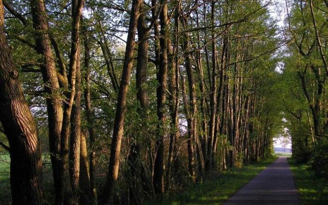 Parkhotel Schönewalde