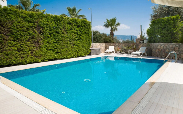 Important Group Villa Olivia