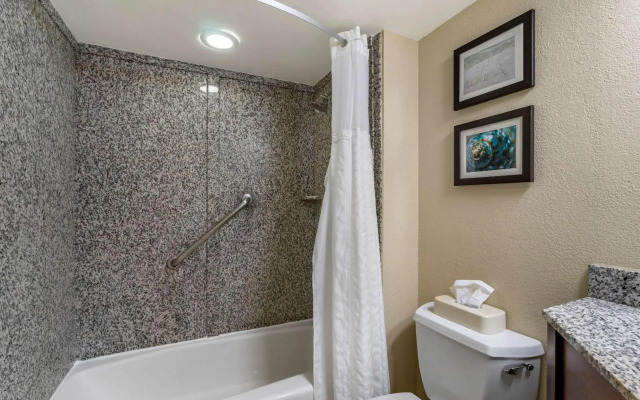 Comfort Inn & Suites St. Pete - Clearwater International Airport