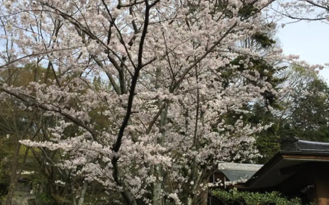 Ryokan Uemura