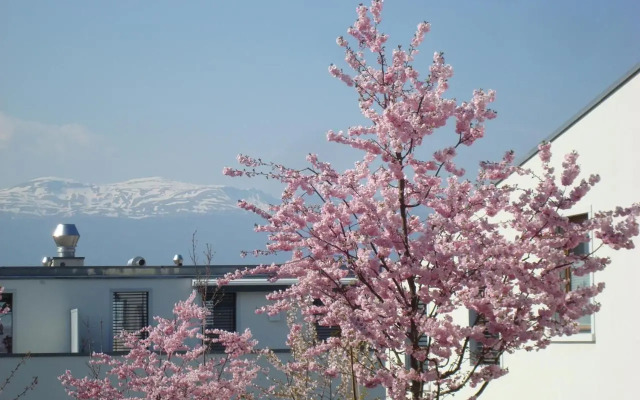 Wonderlandscape Guest House
