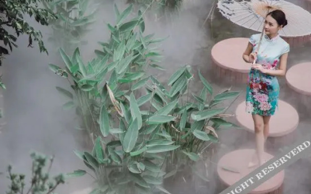 The Jade House · Hongjin