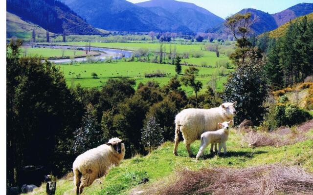 Pelorus Heights
