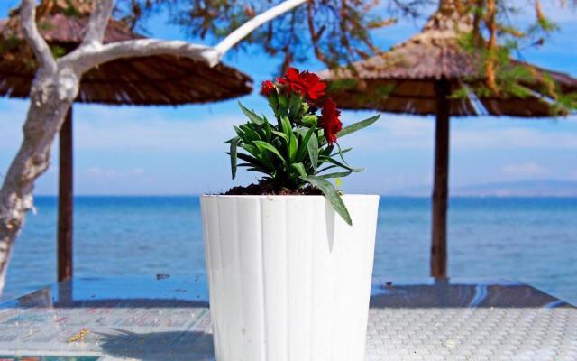 Rena's Traditional Aegean House by the Sea
