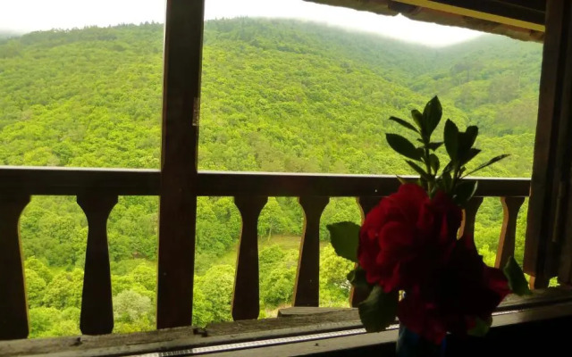 El Bosque De Las Vinas