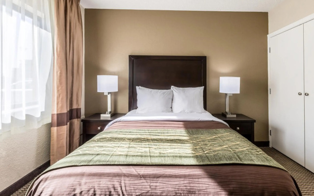 Comfort Inn Downtown