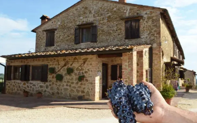 Podere Villuzza