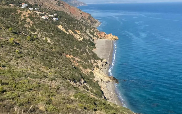 Lilac's Garden Cabo Negro