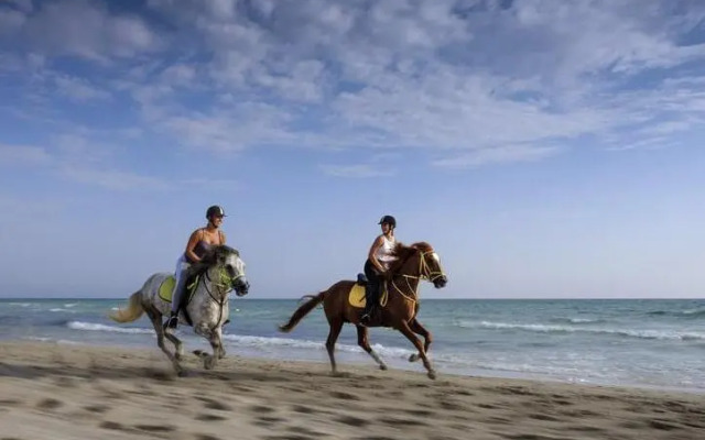 Aldiana Club Djerba Atlantide