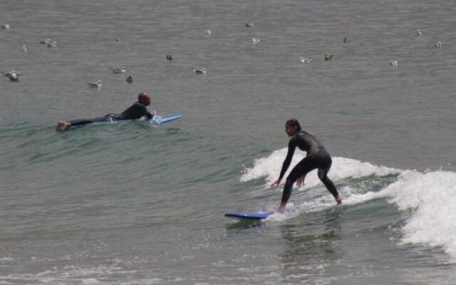 Hashpoint Surf Camp