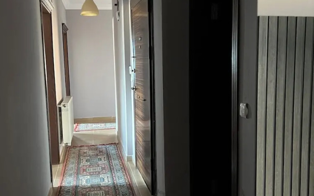 Has Home Nozbart