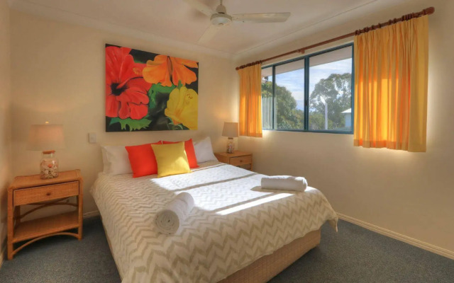 Dolphin Waters Tin Can Bay