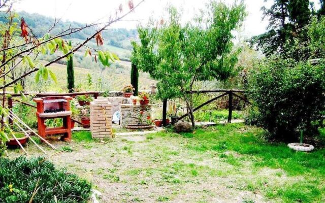 Bellavista farm of Quercini Maurizio