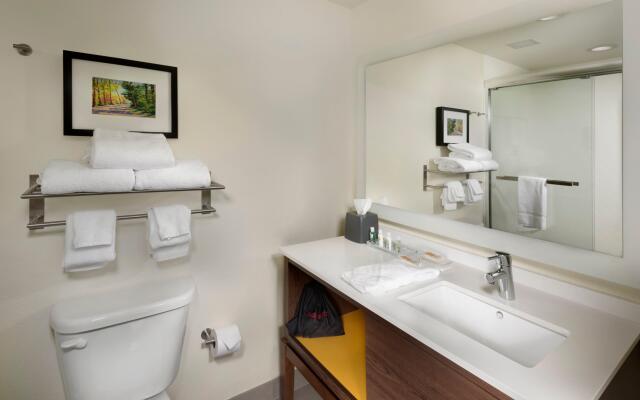 AC Hotel by Marriott Asheville Biltmore Village