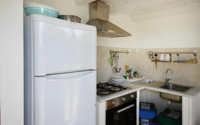 La Gabbianella E Il Gatto