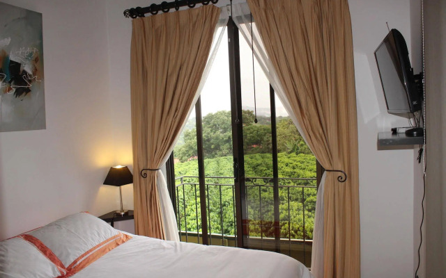 Ruta Verde House