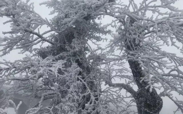 Wangyue Mountain House Homestay (Nanyue Hengshan Scenic Area)