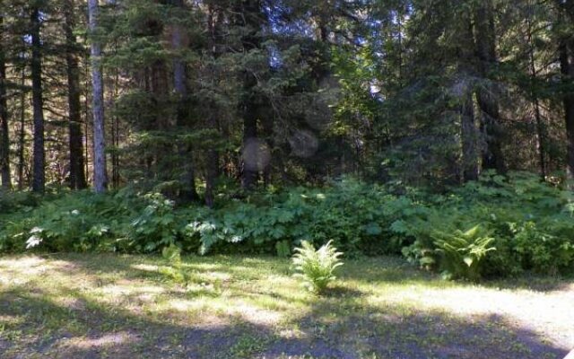 Bear Creek Cabins