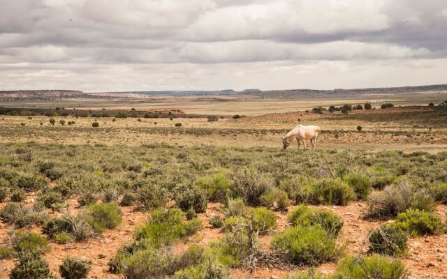 Shash Dine' EcoRetreat