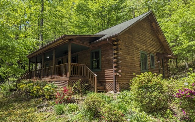 Cozy Blue Ridge Mountain Cabin on 18 Acre Lot