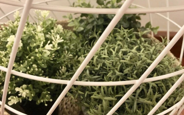 Serva la Bari Apartment II