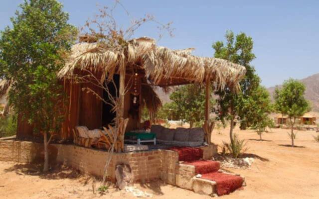 Bedouin Star (Ras shetan area)