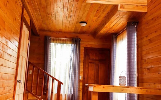 Clusia Lodge
