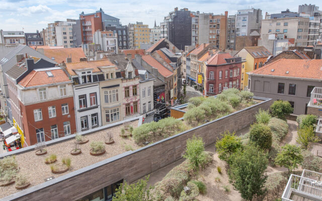 Rooftop Breeze