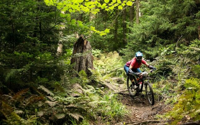 Fall Line Condominiums