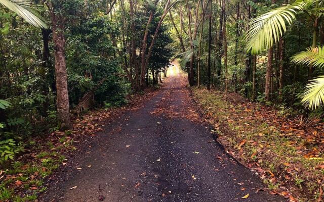 Daintree Manor Bed & Breakfast