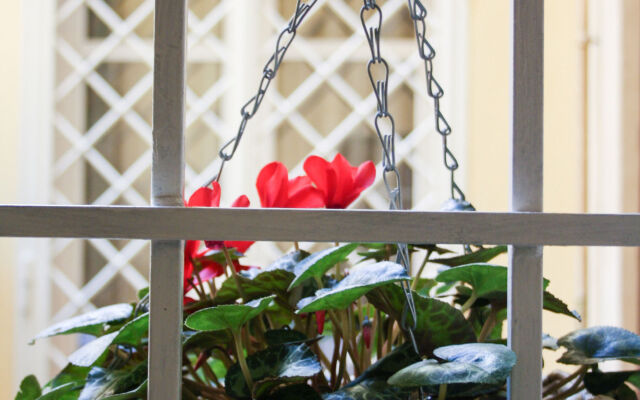 Salotto Vaticano B&B