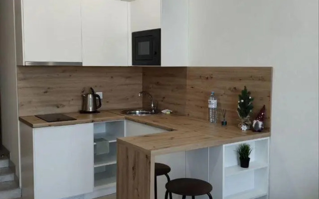 Studio apartments on 41 Tolstogo Street