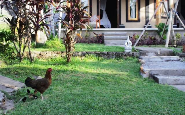 The Banyan Menjangan