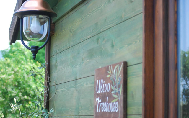 Palazzo Conforti Tree House Resort